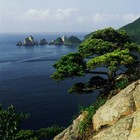 Picture for song 'Hymn To The Sea!' by artist 'Trees Beats'