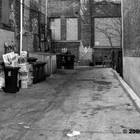 Picture for song 'gangstaaa!!!!' by artist 'TriLLioN DoLLa CashBeatZ'