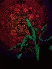 Picture for song 'Trick or Treat' by artist 'Trollum'