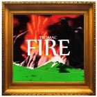 Picture for song 'FIRE' by artist 'Tromac Pineapple'
