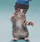 Picture for song 'Tab's Song' by artist 'T-Shirts 'n' Jeans'