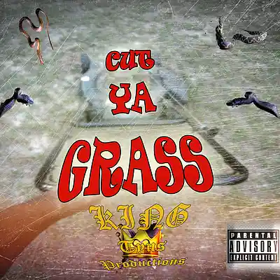 Picture for song 'Cut ya grass' by artist 'Tyler Deshoun'