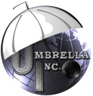 Picture for song 'Anything Is Possible (UI Remix)' by artist 'Umbrella Inc.'