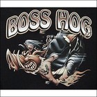 Picture for song 'im a boss (free download)!!!' by artist 'unstables beats'