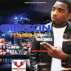 Picture for song 'GIBSON TONIGHT PROD BY VAZYMUSIC.mp3' by artist 'vazymusic'