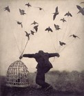 Picture for song 'Caged Bird' by artist 'Viking Blues'