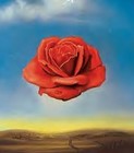 Picture for song 'New Pioneers Of Rock' by artist 'VMP (USA)'