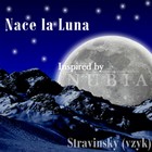 Picture for song 'Nace la Luna (Percu)' by artist 'Vzyk'