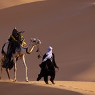 Picture for song 'bedouin' by artist 'wado production'