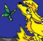 Picture for song 'yellow wolves' by artist 'Wasabi Peace'