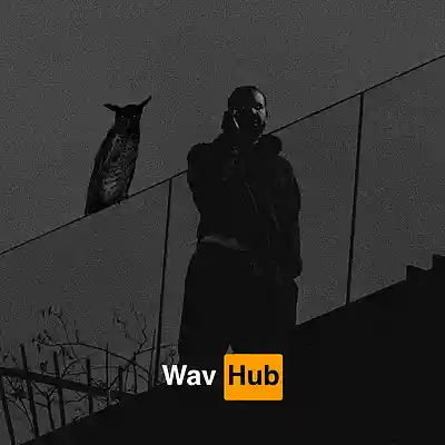 Picture for song 'Twisted (Drake x 21 Savage Trap)' by artist 'Wav Hub'