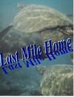 Picture for song '04 013 Last Mile Home' by artist 'WebWorks James Stonecipher'