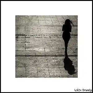 Picture for song 'WIKTO-GRIZZLY - shadow' by artist 'WIKTO-GRIZZLY'