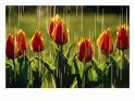 Picture for song 'Rain Just Falls' by artist 'WillySunday'