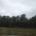 Picture for song 'Still Miss You Instrumental' by artist 'WolvOfficial Beats'