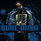 Picture for song 'Blue Kush (BPM 140)' by artist 'Woodlyn'