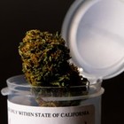 Picture for song 'SMOKE THIS (lil roach, supa-ty & e.j.a.y.)' by artist 'WRECKLESS MUSIC (EJAY)'