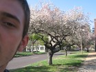 Picture for song 'Lost Life' by artist 'Yac'