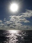 Picture for song 'Day by Day Instrumental (HIT FREEDL!!!)' by artist 'YoungO Productions'