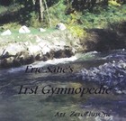 Picture for song '1rst Gymnopedie - Eric Satie' by artist 'ZeroPlusOne'