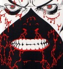 Picture for song 'sunder' by artist 'Zippo Tragedy'