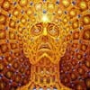 Picture for song 'STATE OF MIND' by artist 'zonktek'