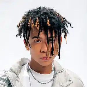 Picture for song 'IANN DIOR TYPE BEAT - "Rock N Roll"' by artist 'Alex Flex'
