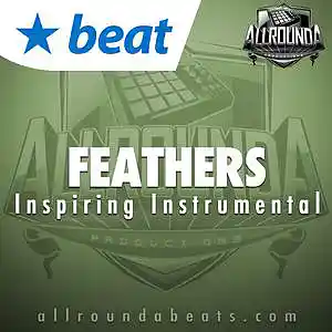 Picture for song 'FEATHERS - (Buy 2 get 3 FREE!)' by artist 'ALLROUNDA Productions'