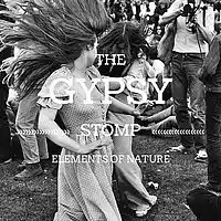 Picture for song 'The Spirit Shaker' by artist 'BONEY ROOTS'