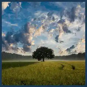 Picture for song 'Wide Open Space' by artist 'The Garden Clots'