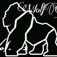 Picture for song 'Country Bands GPack ' by artist 'Wolfgaangproductions'