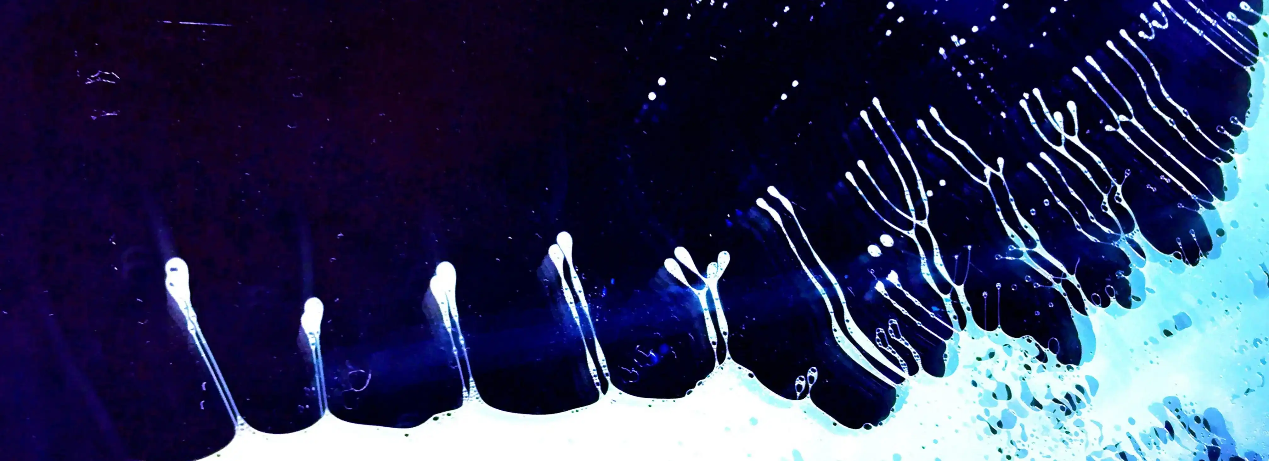 cover pic
