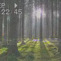 Song picture