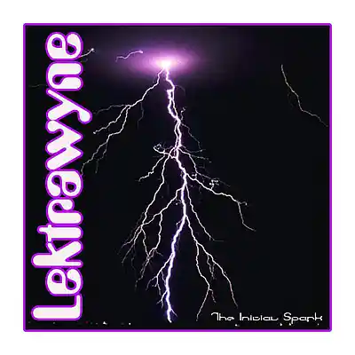 Picture for song 'Bring It Down' by artist 'Lektrawyne'