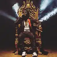 Picture for song 'Felony Prod By @LilBanksNoww' by artist 'Lil Banks Productions'