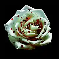 Picture for song '**NEW** Cold Blood (ESK) Free DL' by artist 'The Sempler'