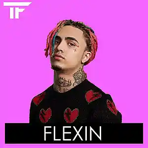 Picture for song 'Flexin' by artist 'TrackFiendz'