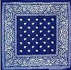 Picture for song 'Aliaz - Best Friendz' by artist 'ViETNAMESE CUHZ'