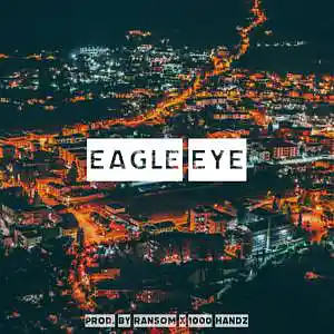 Picture for song 'Eagle Eye' by artist '1000 Handz'