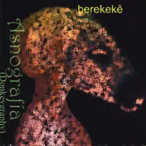 Picture for song 'Almirante' by artist 'berekeke'