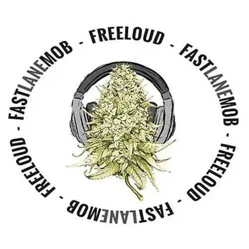 Picture for song 'Lord Knows by Fastlane mob beat Scott Supreme' by artist 'Fastlane mob'