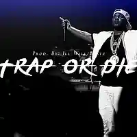 Picture for song 'Trap Or Die' by artist 'illWillbeatzOfficial'