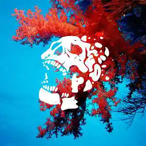 Picture for song 'Bentos' by artist 'Mind Booster Beats'
