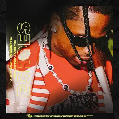 Picture for song 'ECHOES' by artist 'No30music'