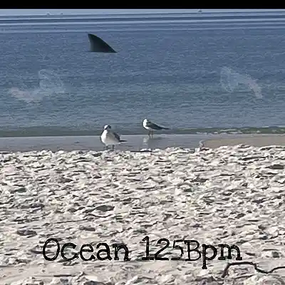 Picture for song 'Ocean 125bpm' by artist 'Producer BigR'