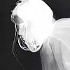 Picture for song 'Ken Carson x More Chaos x experimental rap - Alpha' by artist 'Raavanbeats'