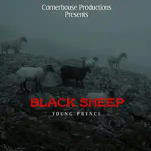 Picture for song 'BLACK SHEEP (PROD JUSTDAN)' by artist 'Young Prynce'