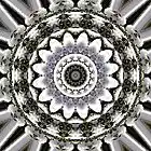 Picture for song 'Loud Whispers' by artist 'Alexandre Falcao'