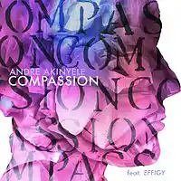 Picture for song 'Compassion feat EFFIGY (Remix Edit)' by artist 'Andre Akinyele'