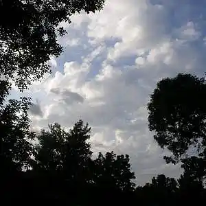 Picture for song 'Sound Poem Part 1' by artist 'AuDioChosis - Steven F. Allen - AuDio MiRage'